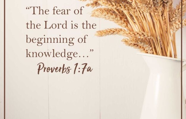 31 Bible Verses From Proverbs Devotion For Today
