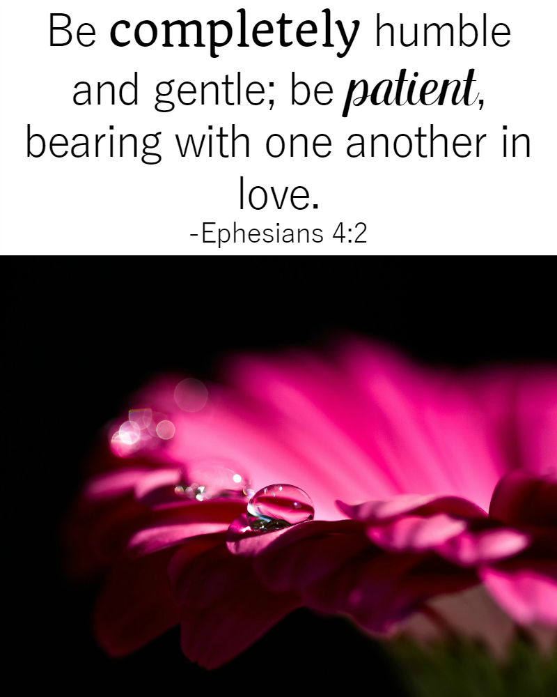 31 Days Of Bible Quotes About Patience Ephesians 4 2 Called To Life Coaching