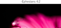 31 Days Of Bible Quotes About Patience Ephesians 4 2 Called To Life Coaching
