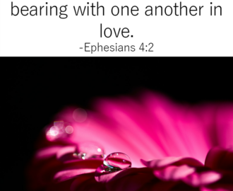 31 Days Of Bible Quotes About Patience Ephesians 4 2 Called To Life Coaching