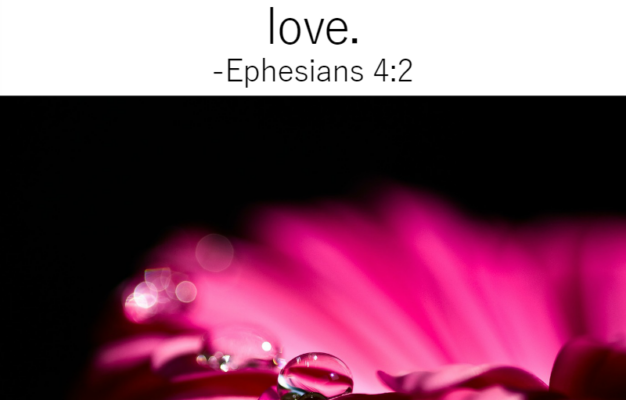 31 Days Of Bible Quotes About Patience Ephesians 4 2 Called To Life Coaching