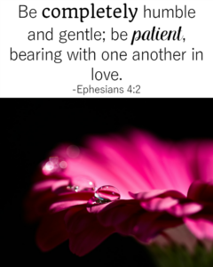 31 Days Of Bible Quotes About Patience Ephesians 4 2 Called To Life Coaching