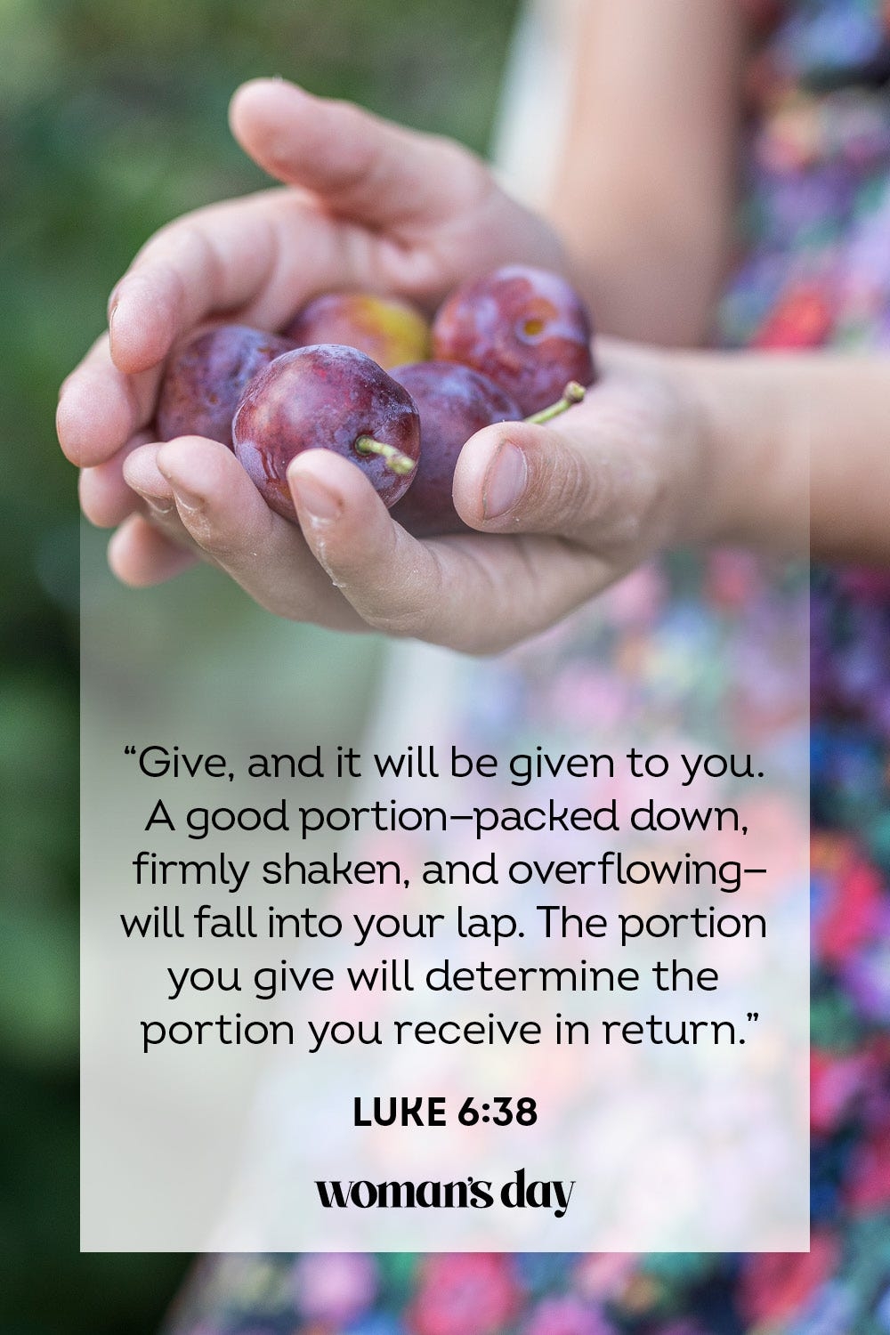 Bible Quotes About Supporting Others