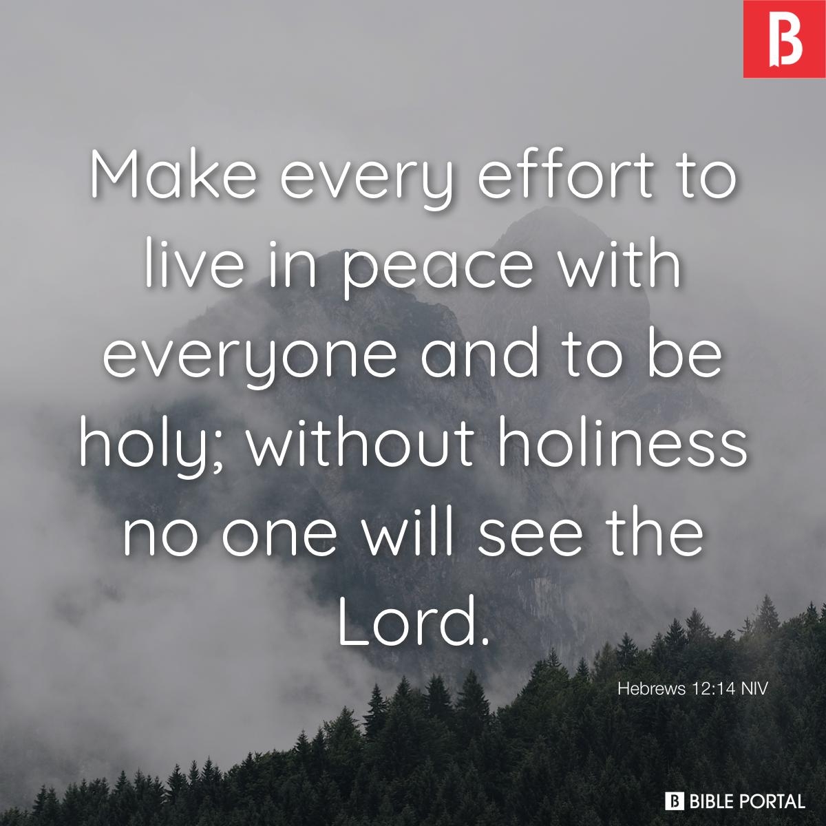 Bible Quotes For Equality