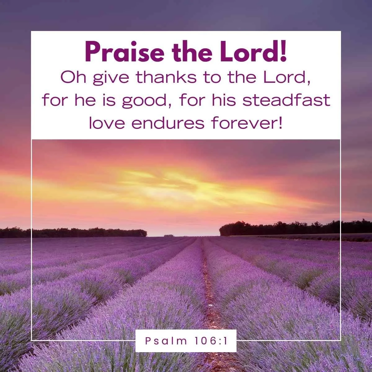 35 Bible Verses About Counting Your Blessings