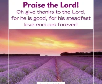 35 Bible Verses About Counting Your Blessings