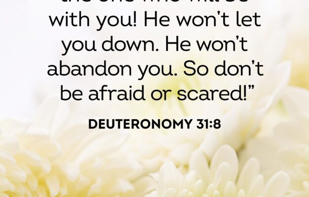 35 Bible Verses About Grief Bible Verses To Help Cope With Loss