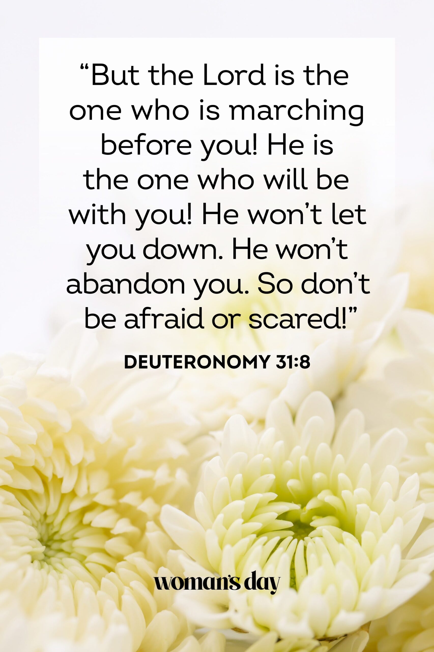 35 Bible Verses About Grief Bible Verses To Help Cope With Loss