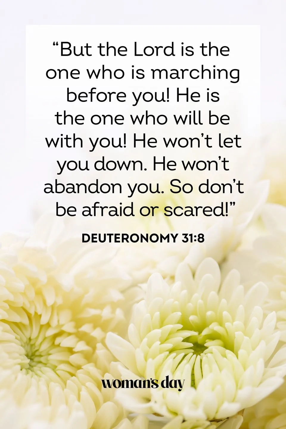 35 Bible Verses About Grief To Help You Mourn The Loss Of A Loved One