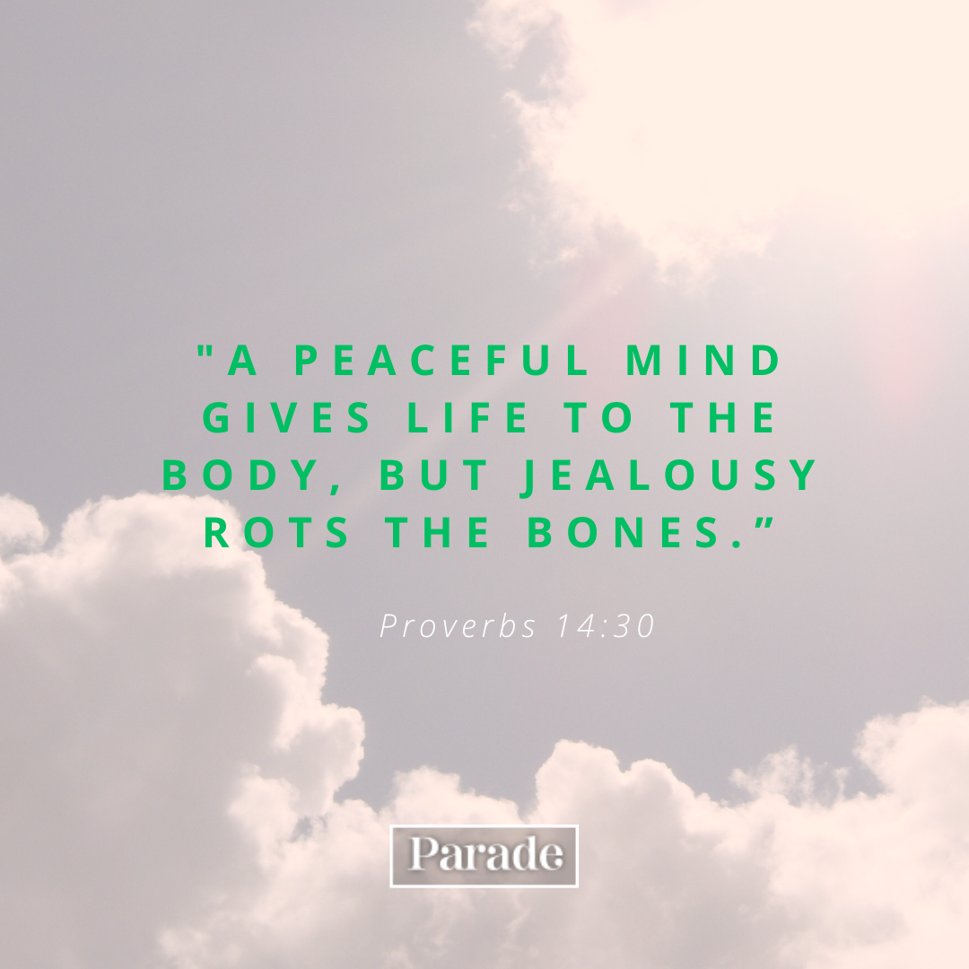 Jealousy And Envy Bible Quotes