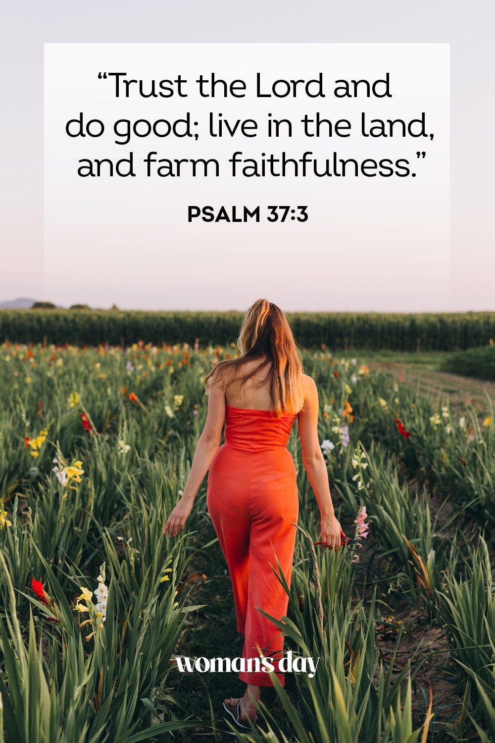 35 Bible Verses About Trusting God Trust The Lord Scripture