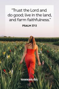 35 Bible Verses About Trusting God Trust The Lord Scripture