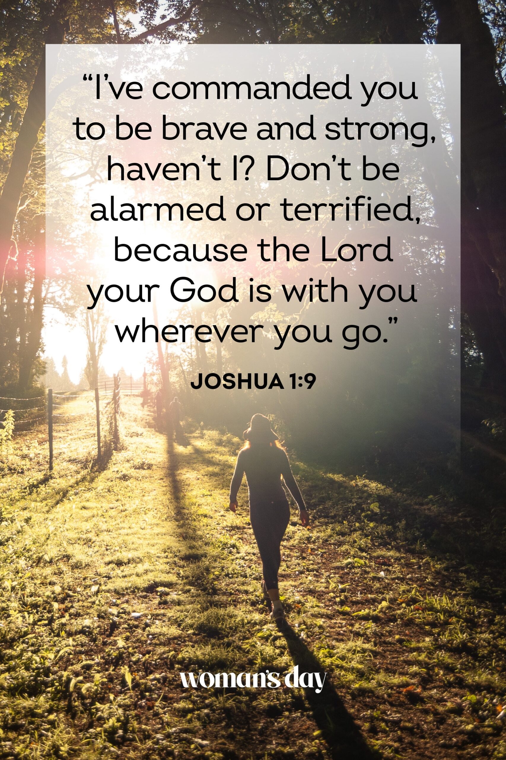 Bible Quotes About A Good Woman