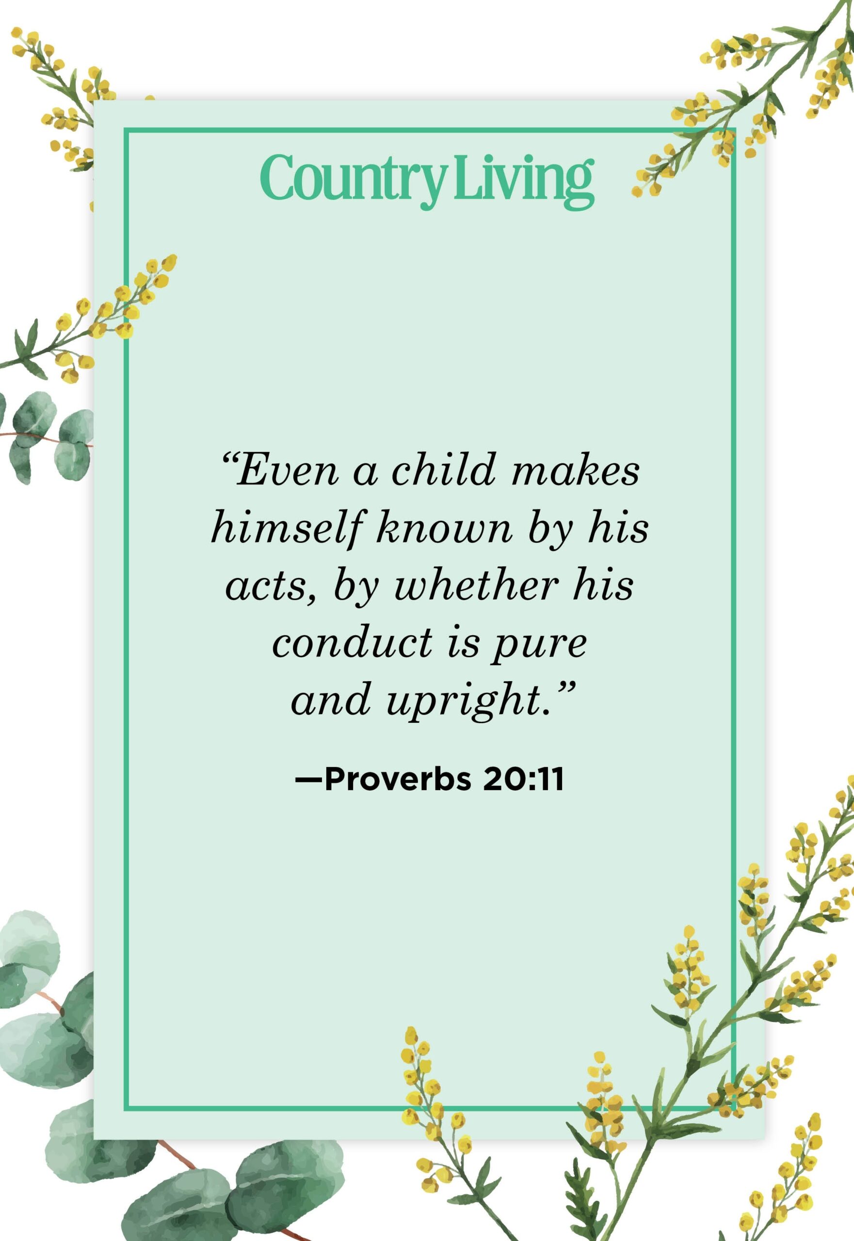 Proverbs Quotes From The Bible