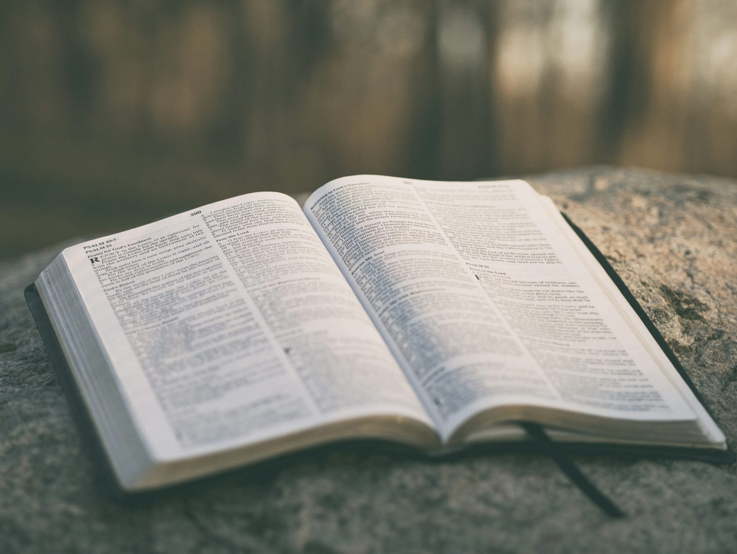 350 Best Open Bible Pictures HD Download Free Images On Unsplash