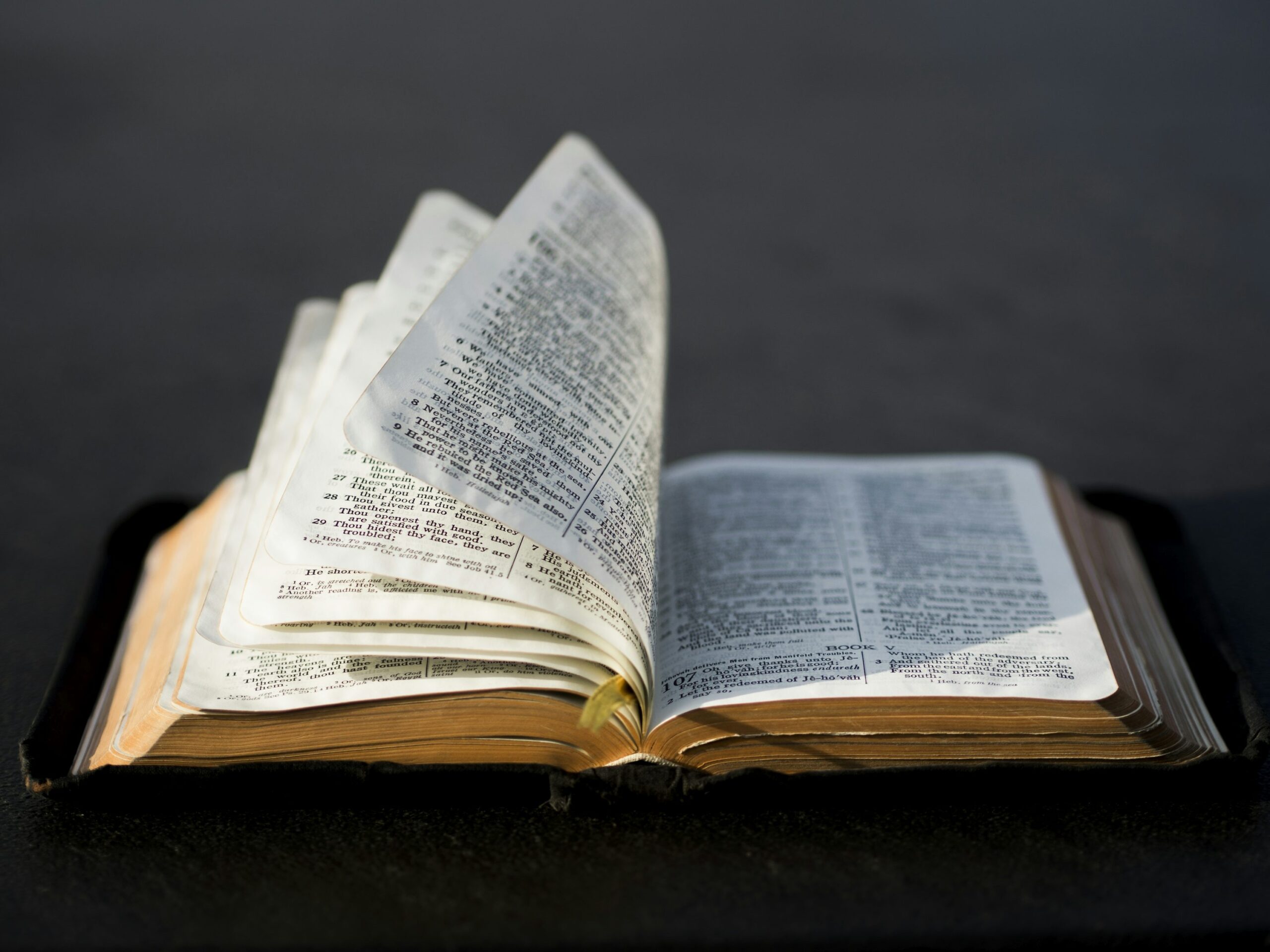 Free Printable Image Of Open Bible