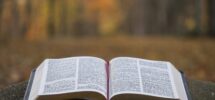 350 Best Open Bible Pictures HD Download Free Images On Unsplash