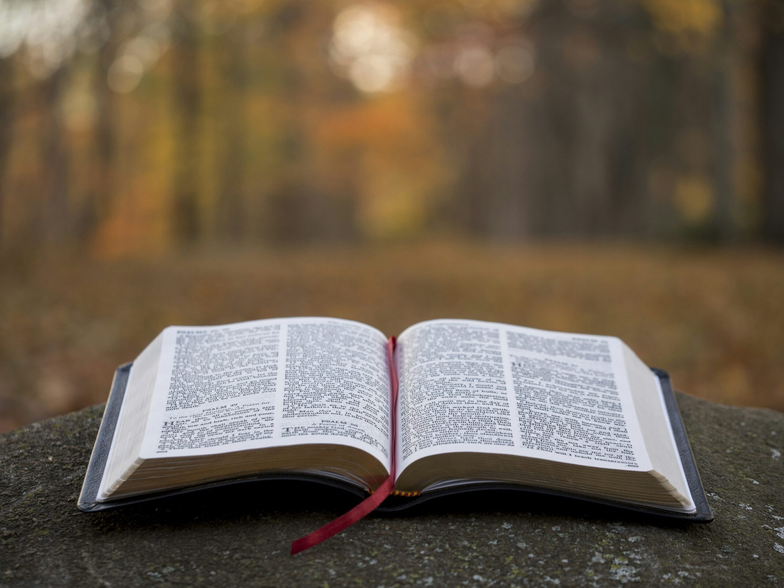 350 Best Open Bible Pictures HD Download Free Images On Unsplash