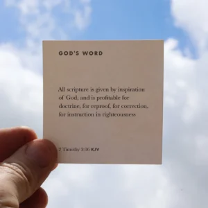 365 Bible Memory Cards Dennehey Design Co