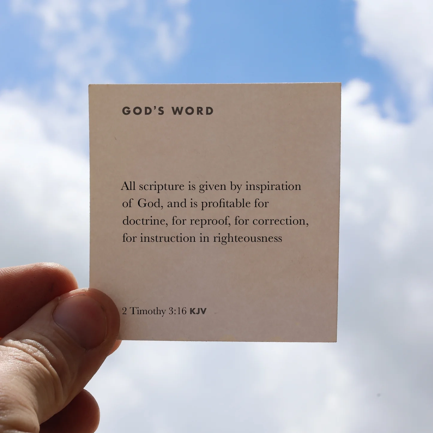 365 Bible Memory Cards Dennehey Design Co 