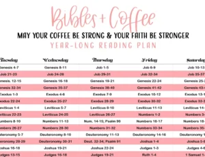 365 Day Chronological Reading Plan Digital Download Bibles And Coffee