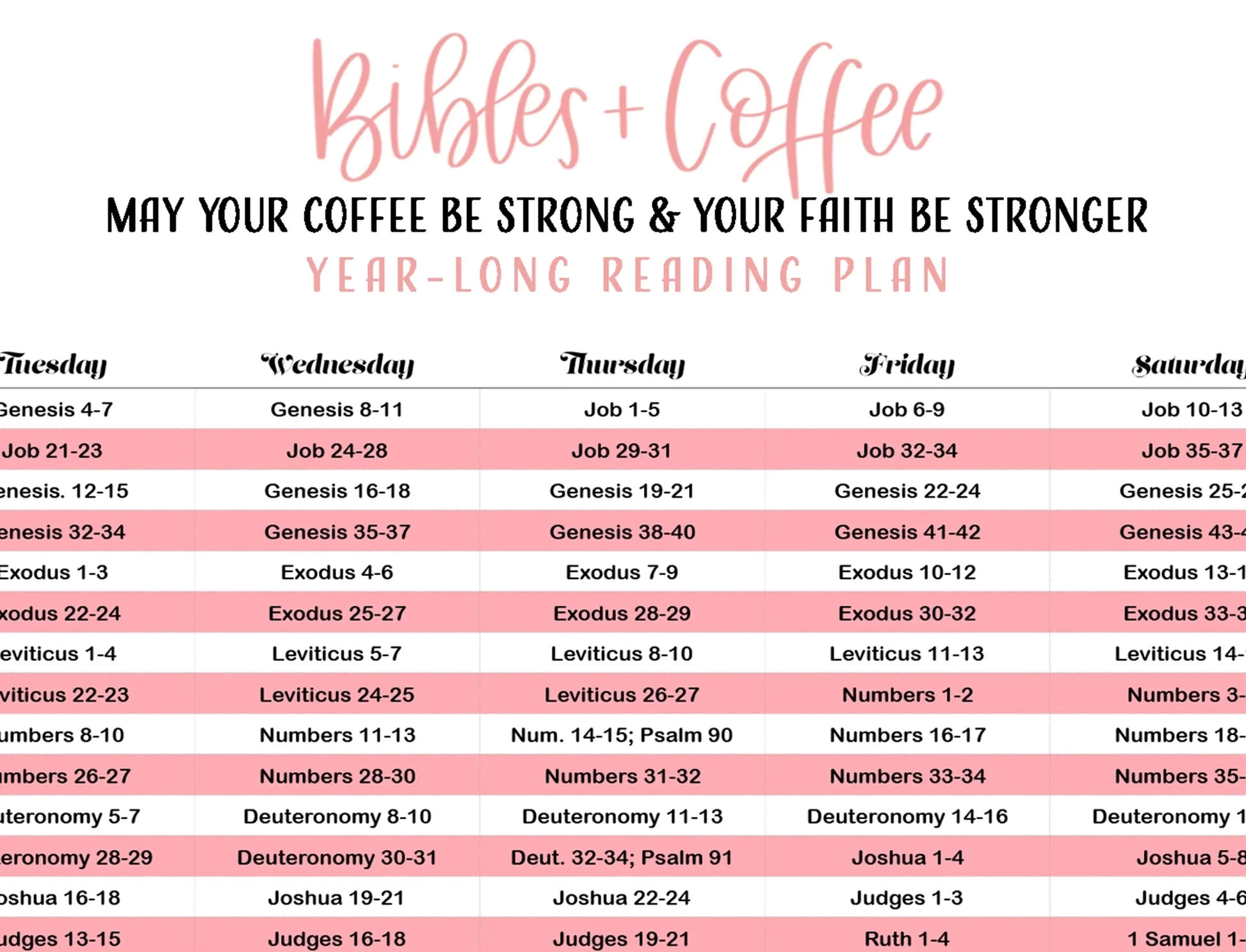 365 Day Chronological Reading Plan Digital Download Bibles And Coffee