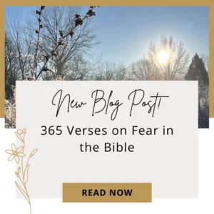 365 Fear Not Verses In The Bible Becky Emerick