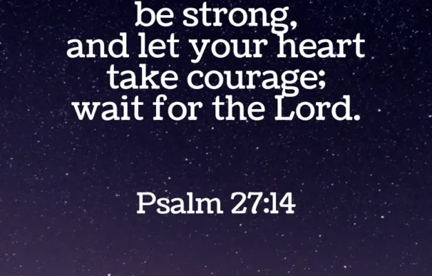 37 Comforting Good Night Bible Verses For Peaceful Sleep