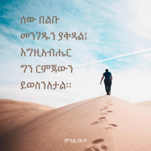 38 Amharic Verses Ideas Ethiopian Quotes Verses Daily Verses
