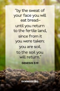 38 Best Ash Wednesday Quotes Bible Verses For First Day Of Lent