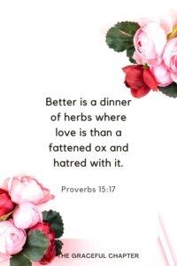 38 Bible Verses About Hatred The Graceful Chapter