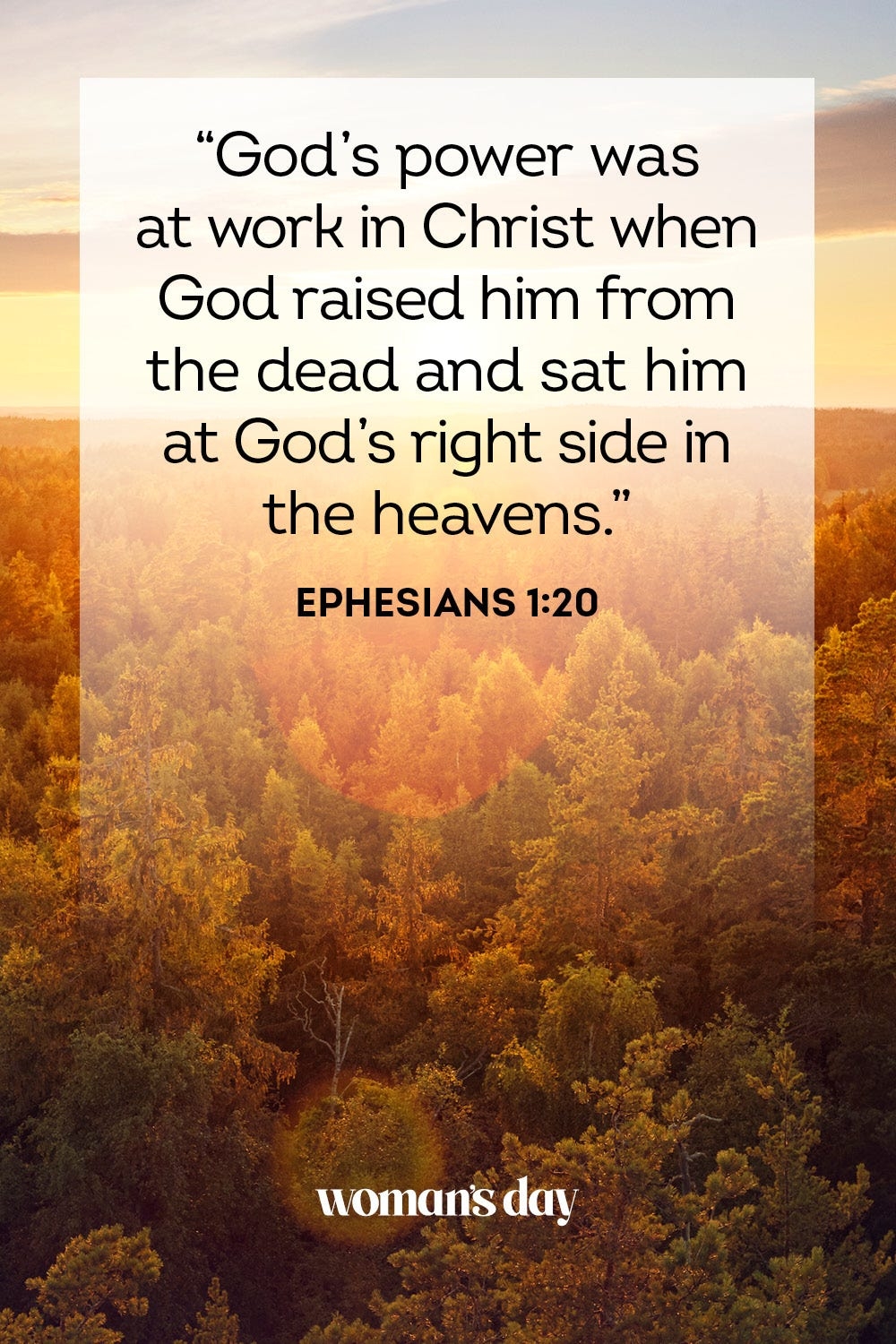 40 Best Easter Scriptures 2024 Top Bible Verses About Easter