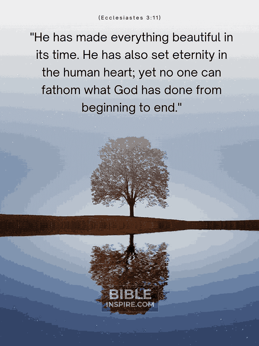 40 Bible Quotes About God s Timing That Will Renew Your Faith