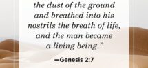 40 Lent Quotes Inspirational Catholic Bible Quotes For Lent