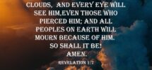 40 REVELATION Ideas Revelation Book Of Revelation Revelation Bible