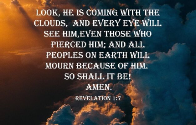 40 REVELATION Ideas Revelation Book Of Revelation Revelation Bible