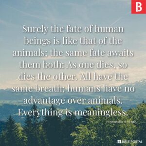 41 Bible Verses About Do Animals Go To Heaven