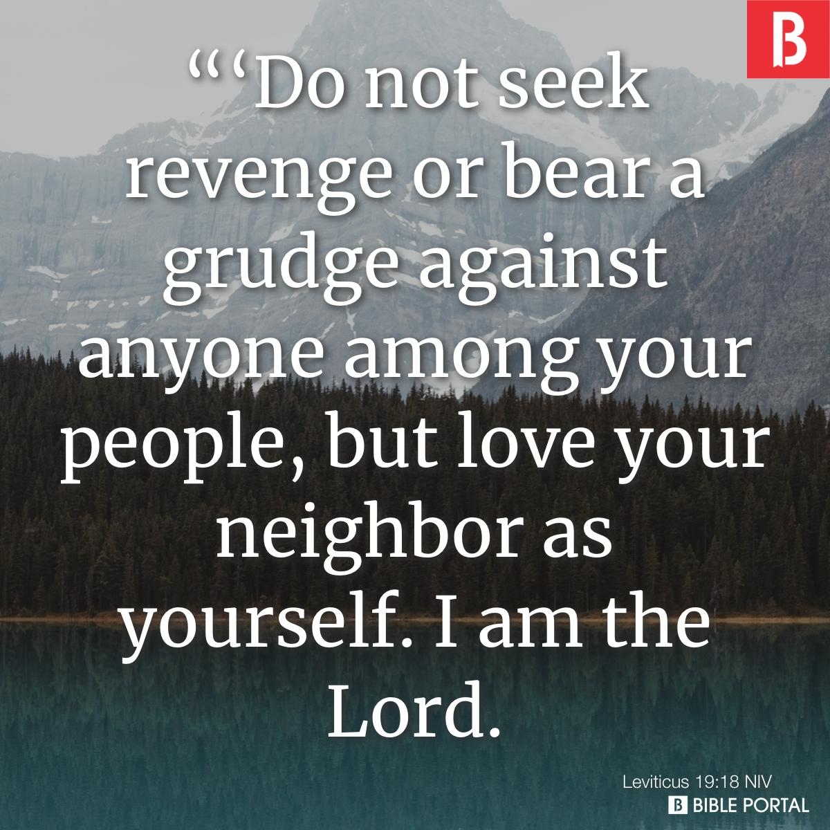 41 Bible Verses About Grudges