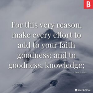 41 Bible Verses About Intelligence
