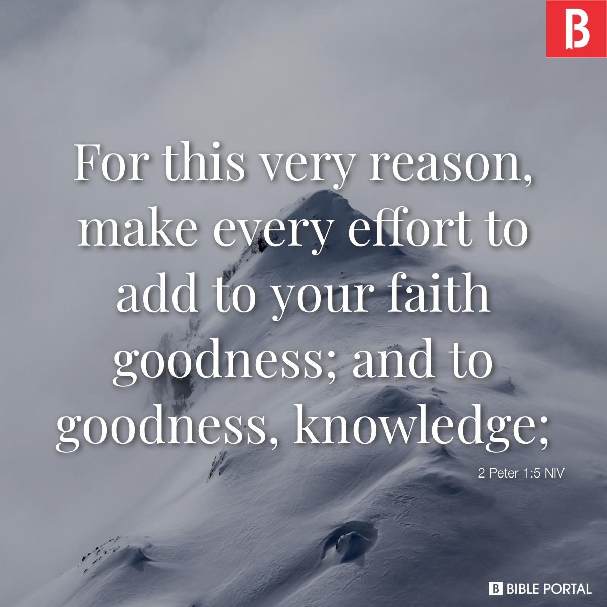 41 Bible Verses About Intelligence