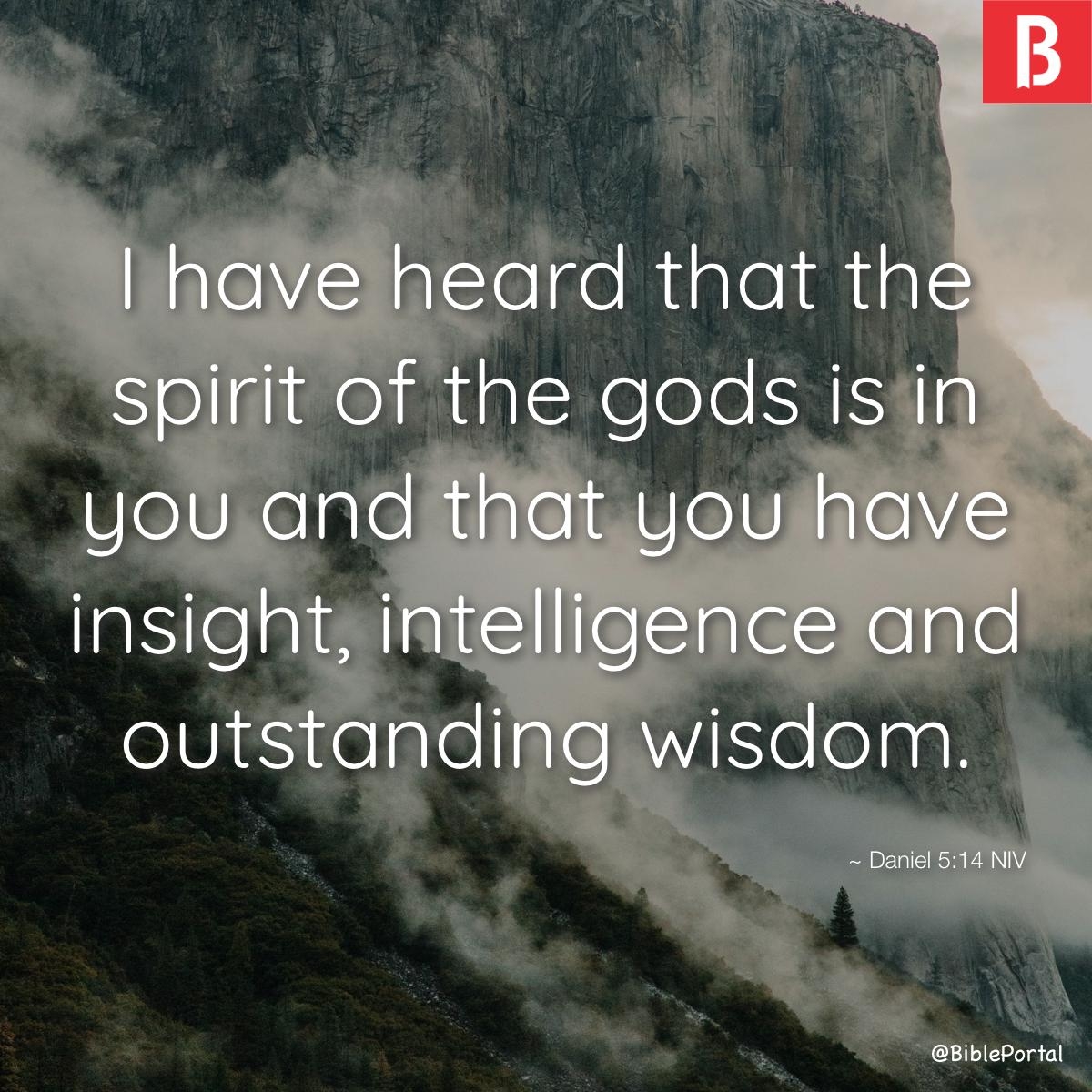 41 Bible Verses About Intelligence
