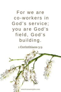 41 Bible Verses About Teamwork Inspiring Powerful