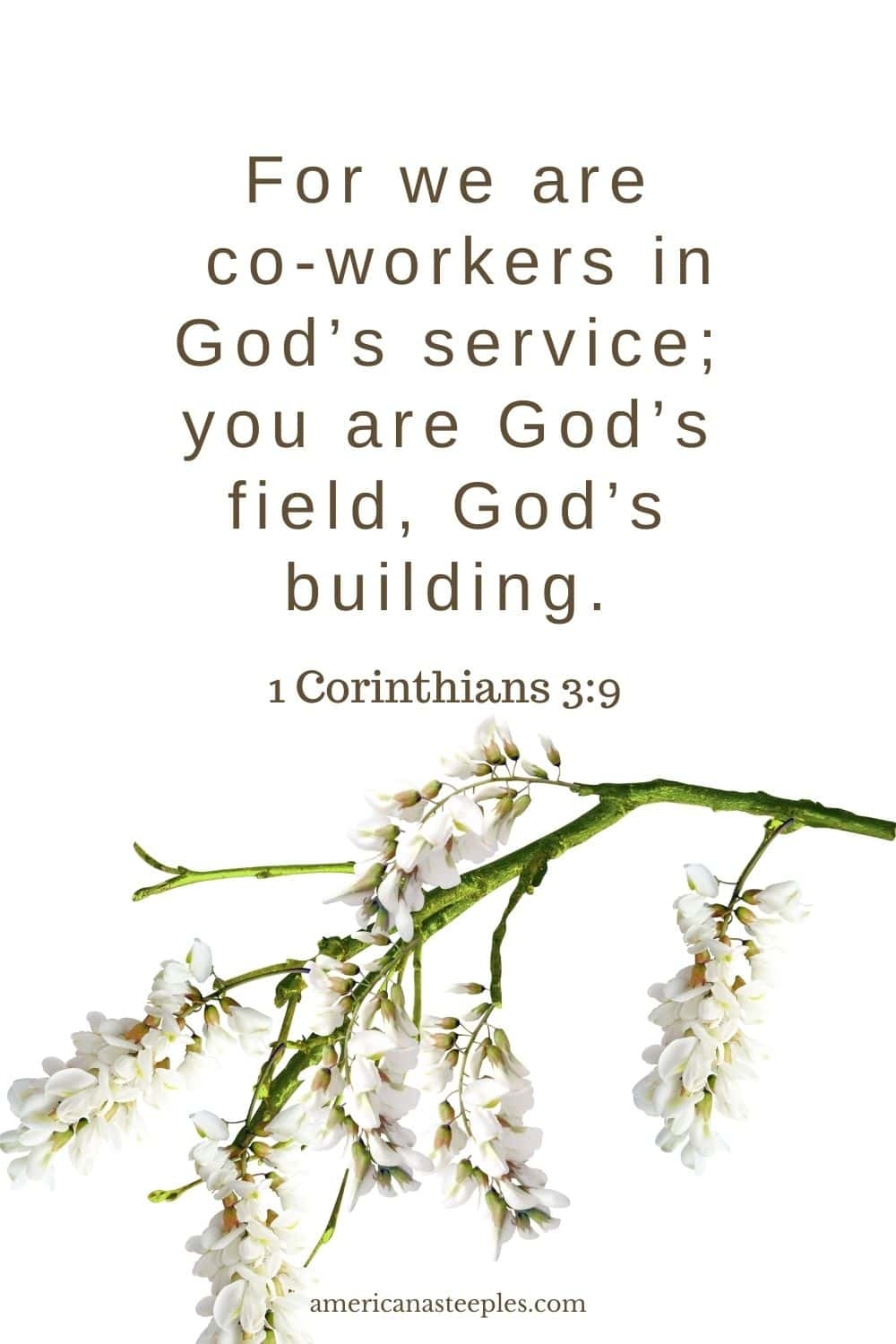 Bible Quote About Teamwork