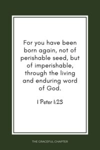 42 Bible Verses About Being Born Again The Graceful Chapter