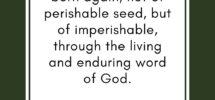 42 Bible Verses About Being Born Again The Graceful Chapter