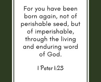 42 Bible Verses About Being Born Again The Graceful Chapter