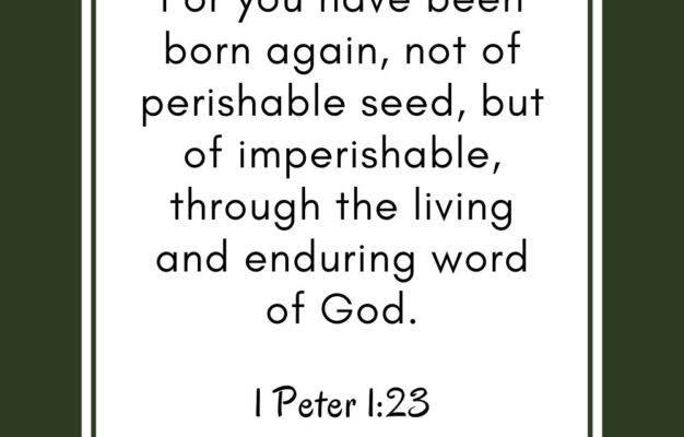 42 Bible Verses About Being Born Again The Graceful Chapter