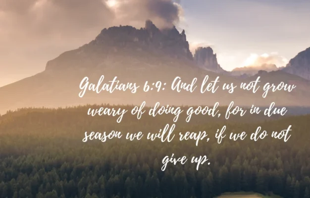 45 Bible Verses About Helping Others Parade
