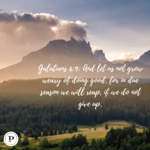 45 Bible Verses About Helping Others Parade
