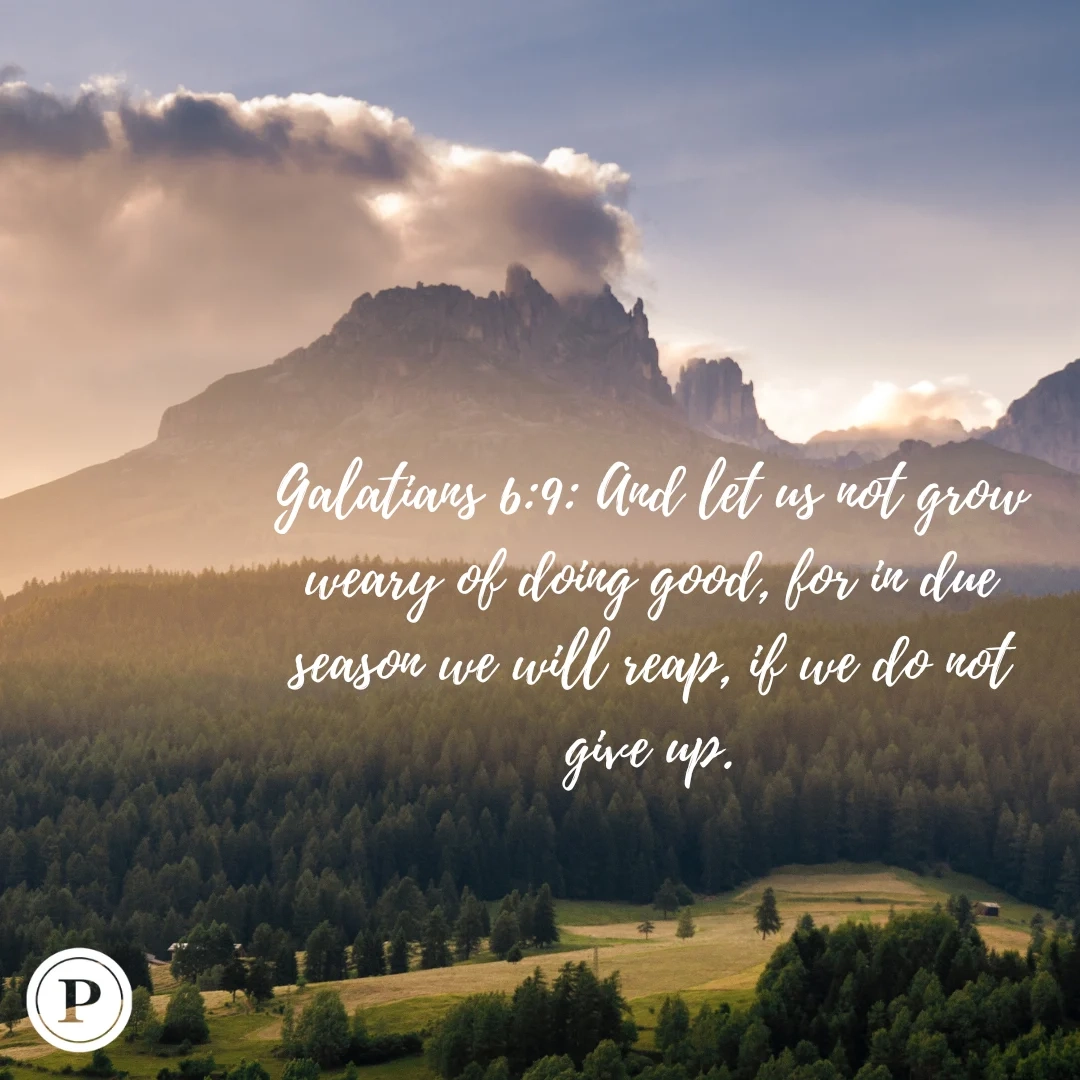 Bible Quote To Help Others